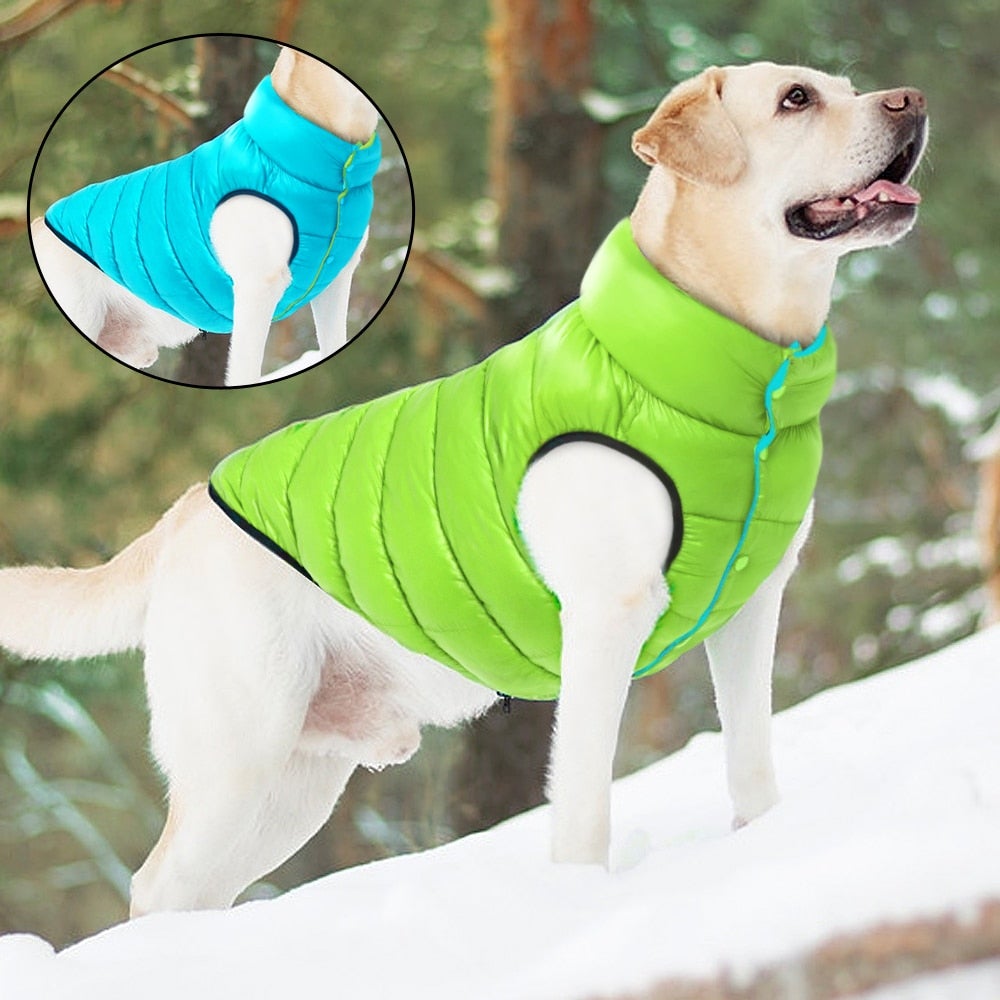 Hundekåpe med vendbar funksjon, gir varme og er vanntett, et must for hundens vintergarderobe.