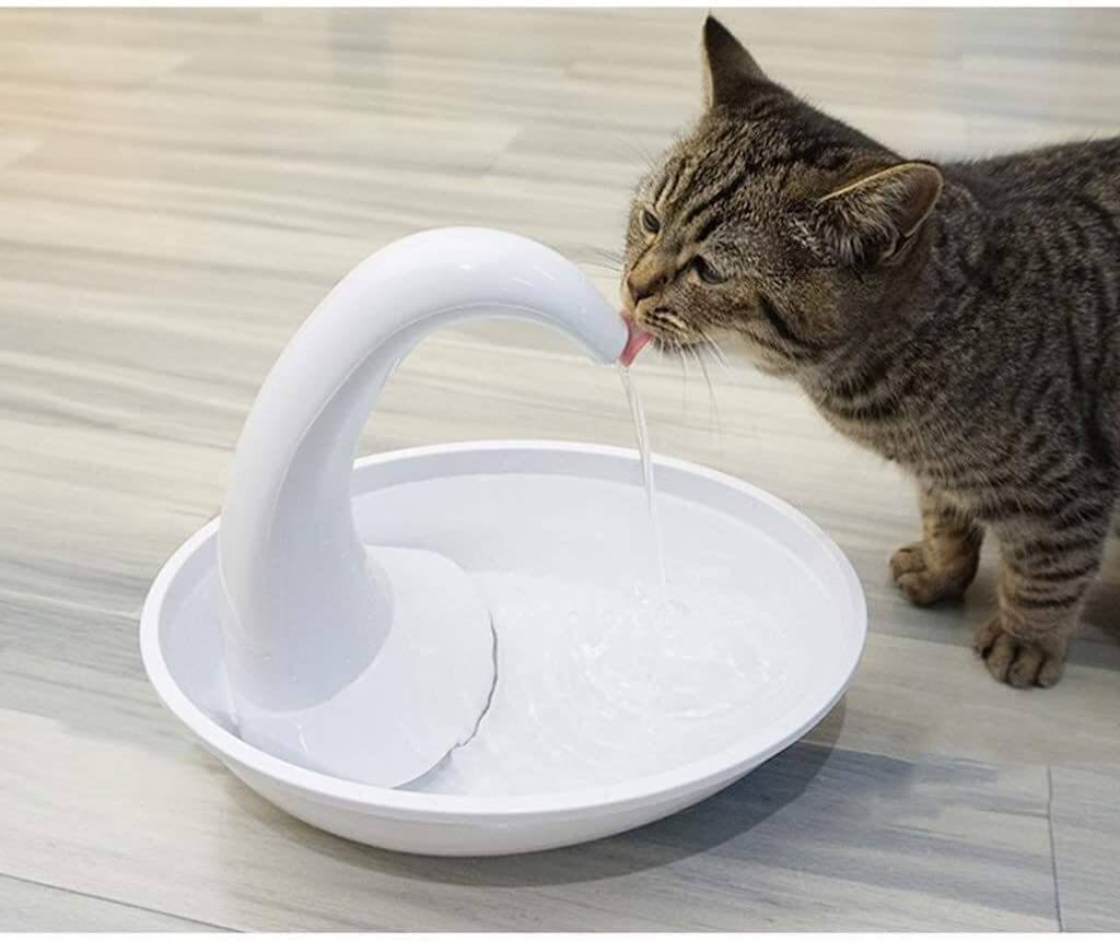 Moderne automatisk drikkefontene for katter med filter. Ideell for kjæledyrs daglige vannbehov.
