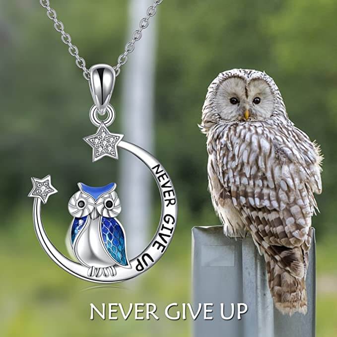 Damehalskjede med motiv av ugle og måne, gravert med inspirerende 'Aldri Gi Opp' for kvinner