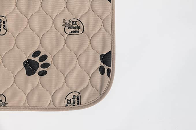 Kostnadseffektiv gjenbrukbar tissepute for hund og katt. Spar penger på engangsputer og beskytt miljøet.