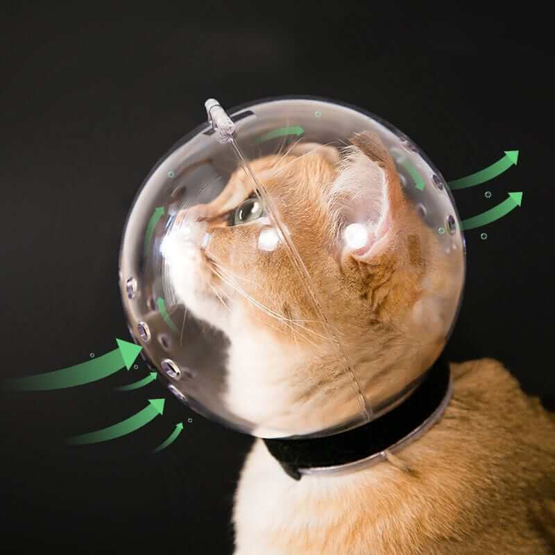 Pustende, gjennomsiktig pleiehjelm for katt. Komfortabel antibitt-beskyttelse under stell/veterinærbesøk.
