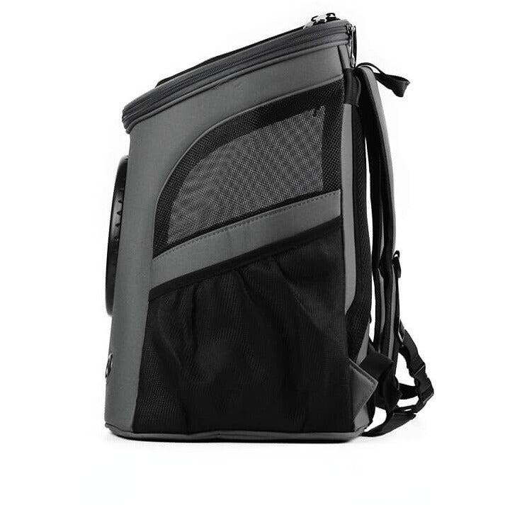 Rosa bæreveske for kjæledyr på et gulv, klar til bruk, med matchende reiseutstyr ved siden av.