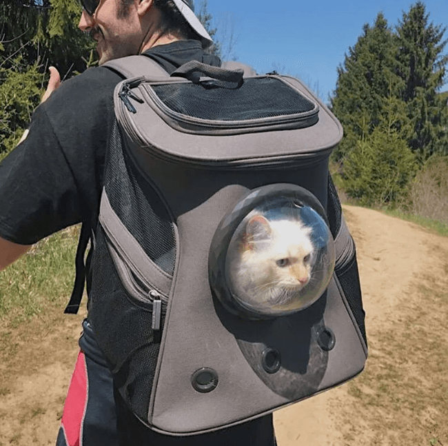 Kjæledyrbæresekk i grått, med glidelåslukking og myk bunn, optimal for komfortabel transport av dyr.