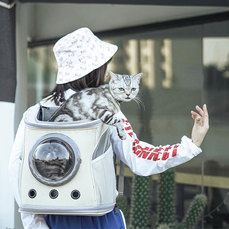 Nærbilde av grå bæreveske til kjæledyr, viser pustende netting og solid håndtak, for små hunder.