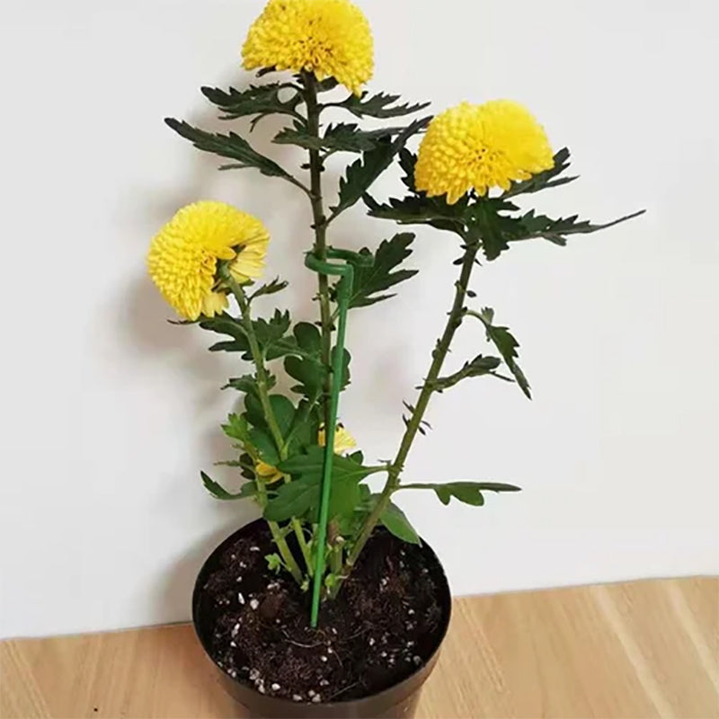"Grønn plantestøtte med stålkjerne og plastbelegg, gir solid støtte for blomster og smelter inn i hagens naturlige skjønnhet.