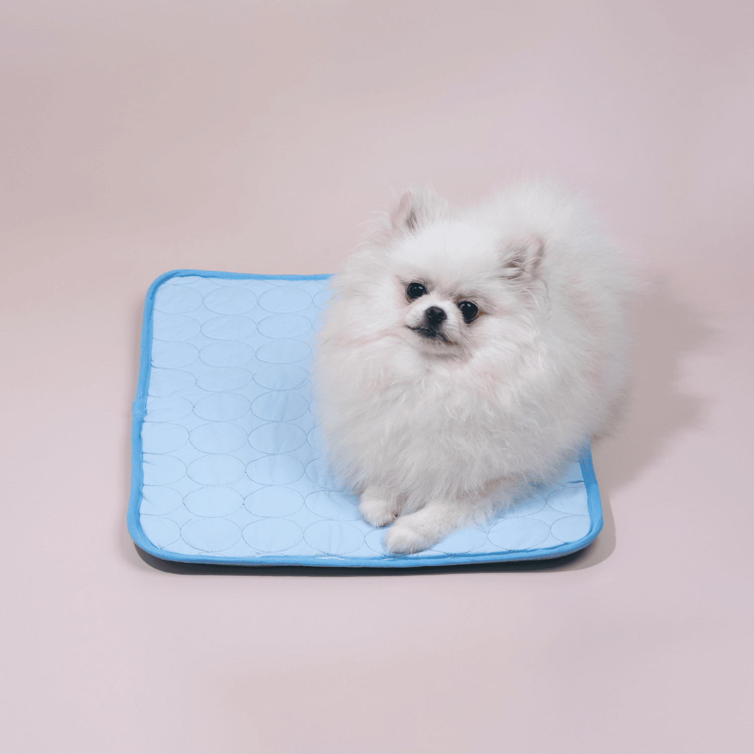 Praktisk kjølematte for hund innendørs, gir sval komfort på varme dager.