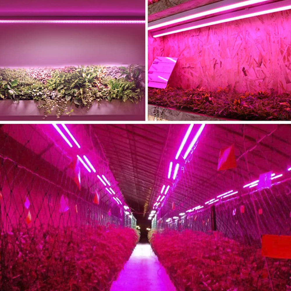 Detaljert bilde av LED-plantelampen som viser lysdiodene og robust design for langvarig vekstlys.