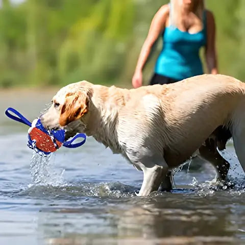 Allsidig interaktiv frisbee ball til hund. Fremmer lek og aktivitet, robust tyggeleke for kjæledyr.