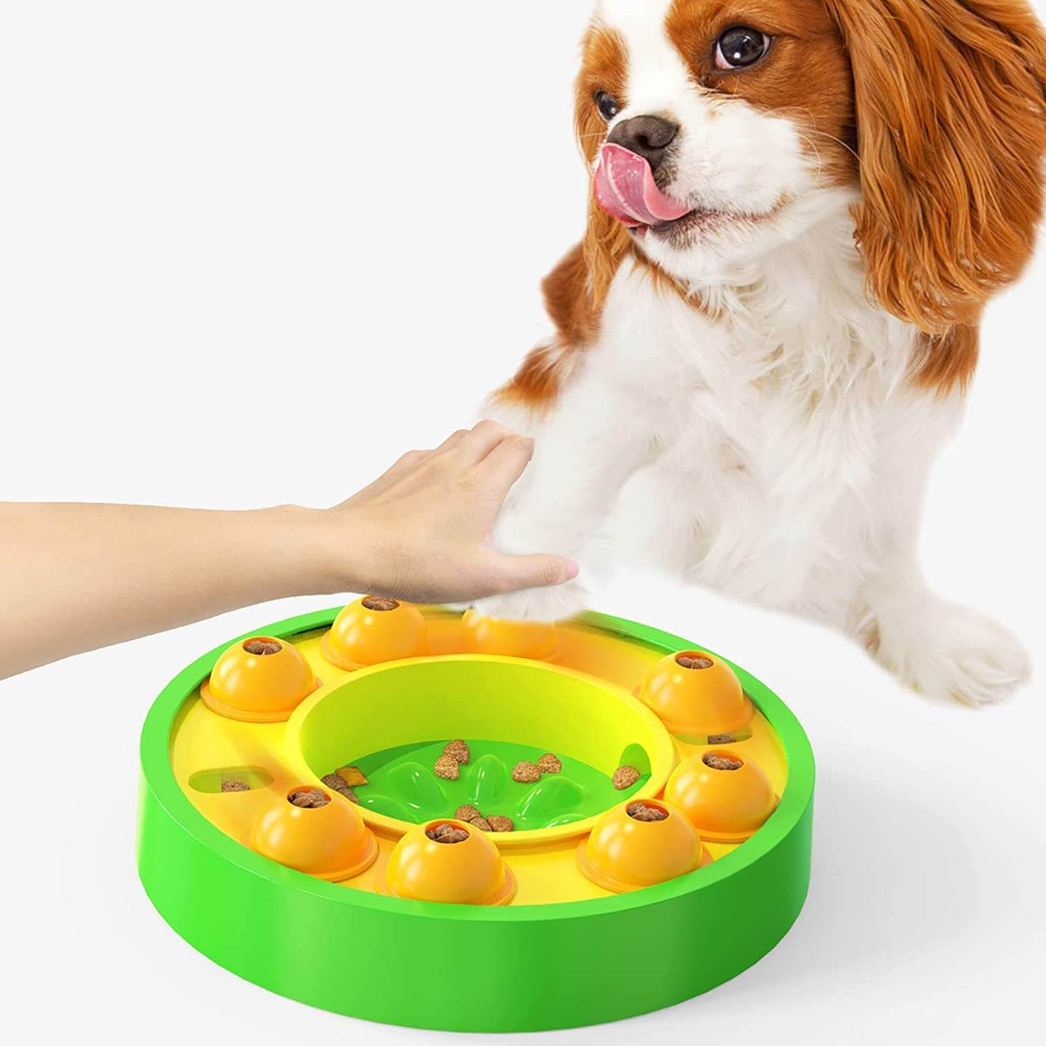 Innovativ plast slowfeeder hundeleke. Designet for å redusere spisehastighet og gi mental stimulering til hunden.