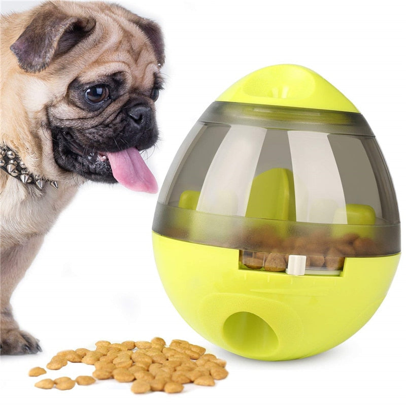 Glad hund leker med interaktiv materball; får mat som en morsom slow feeder.