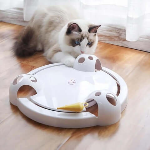 Ideell interaktiv katteleke for å holde katten og kattungene sysselsatt og stimulert i timevis.