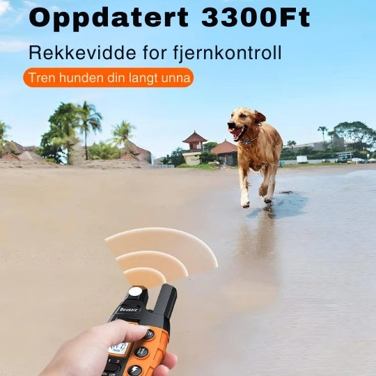 "Justérbart, svart fjernstyrt dressurhalsbånd med lang rekkevidde og solid, vanntett design for alle værforhold."