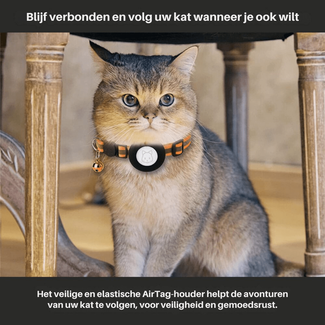 Grønt katt halsbånd, justerbart, med reflekterende materiale og diskret GPS-lomme, for sporing av kjæledyr.