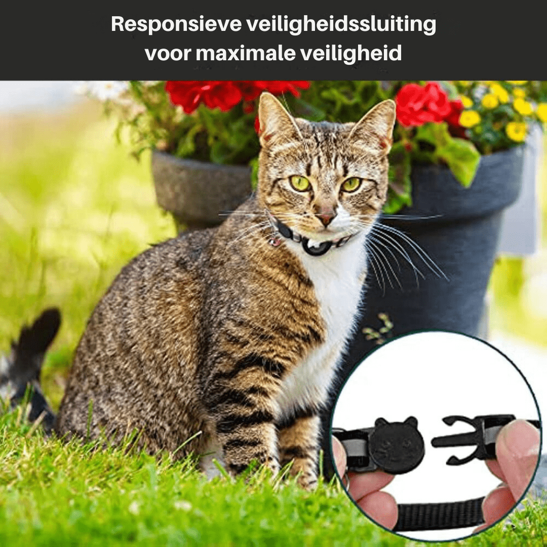 Blått reflekterende katt halsbånd med sikkerhetsspenne og plass til GPS-tracker, justerbart for komfort.