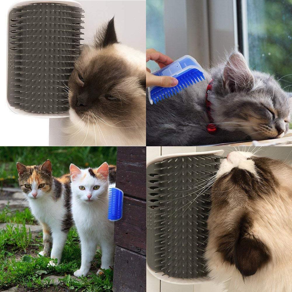 Kattens massasjebørste: blå, grå plast, myke børster. Enkel montering. Komfort, pleie for katter. Myk, miljøvennlig design.
