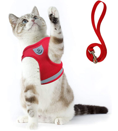 Reflekterende kattesele med bånd. Øker synligheten og tryggheten for katten din i mørket.