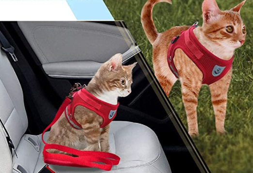 Justerbar kattesele for optimal komfort og rømningssikker passform. Komplett med matchende bånd.