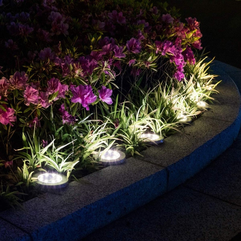 Flere LED solcellelys langs en hagegang, lyser opp stien med energieffektivt lys. Landskapsbelysning.