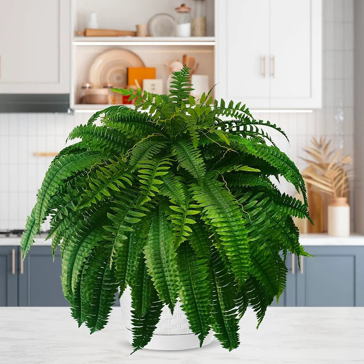 Vedlikeholdsfri naturtro kunstplante bostonbregne. Ideell for hjemmedekor og kontor, innendørs/utendørs.