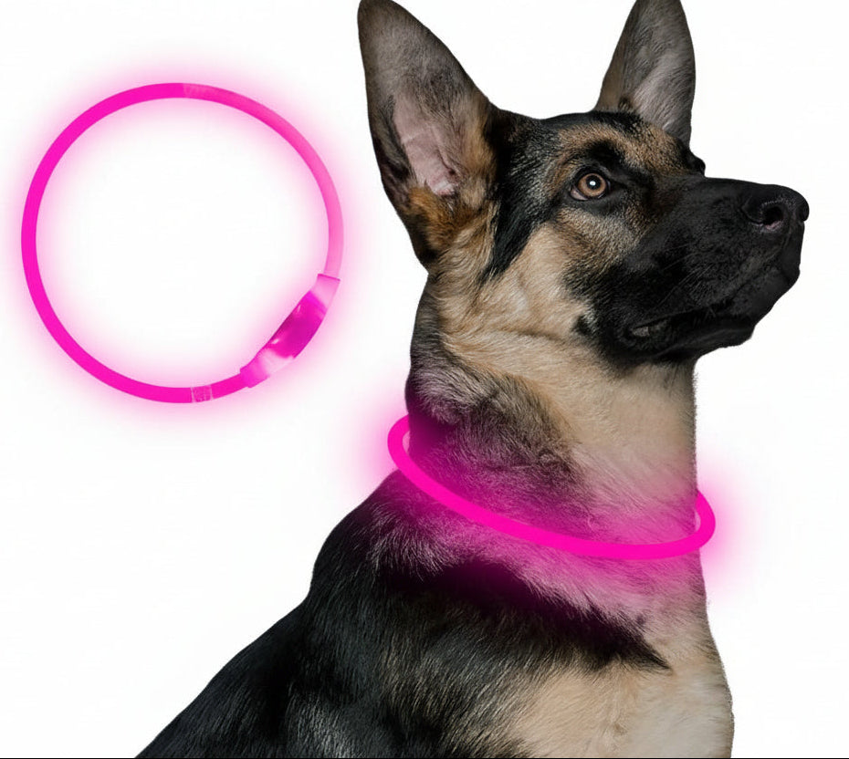 Oppladbart LED hundehalsbånd med USB-lading for optimal synlighet. Essensielt for hundesikkerhet på kveldstur.