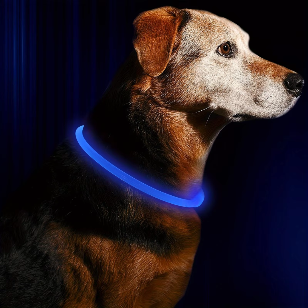 Miljøvennlig USB-oppladbart LED hundehalsbånd. Gir pålitelig synlighet og hundesikkerhet ved mørke tider.