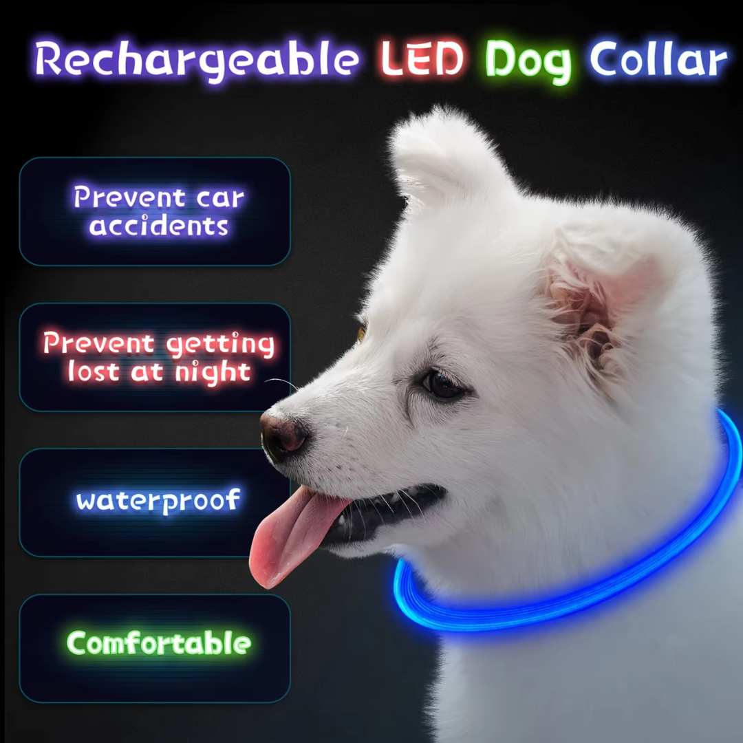 Hundehalsbånd med innebygd LED-lys og USB-lading. Optimalt for synlighet og trygghet på tur i mørket.