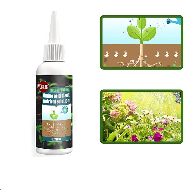 Frodig grønnsakhage med sunne planter, styrket av plantegjødsel. Fremmer rik vekst og utbytte.
