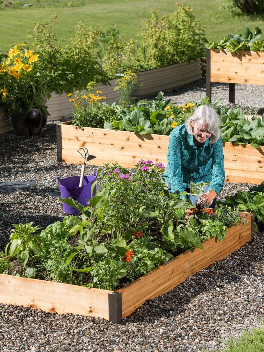 Plantenæringsflaske mot bakgrunn av frodige grønne planter. Optimaliserer vekst og fremmer rik blomstring.