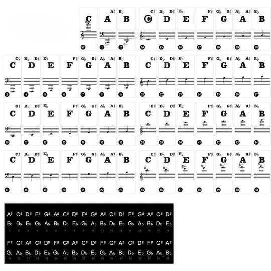 Stickers for Piano Keys - Durable and Eye-Catching