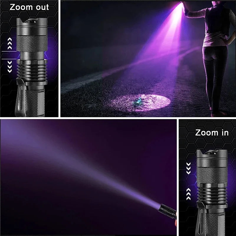 UV-lampe for hjemmebruk, oppdager kjæledyrurin og flekker raskt. Sikrer et renere miljø.