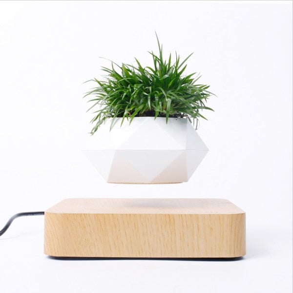 Air Bonsai potte i bruk, en elegant og futuristisk måte å vise frem planter på, hjemmedekor