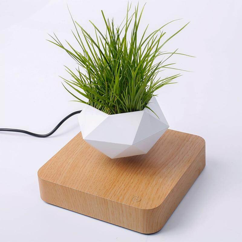 Air Bonsai potte med en liten grønn plante, svevende effekt, perfekt for skrivebordet