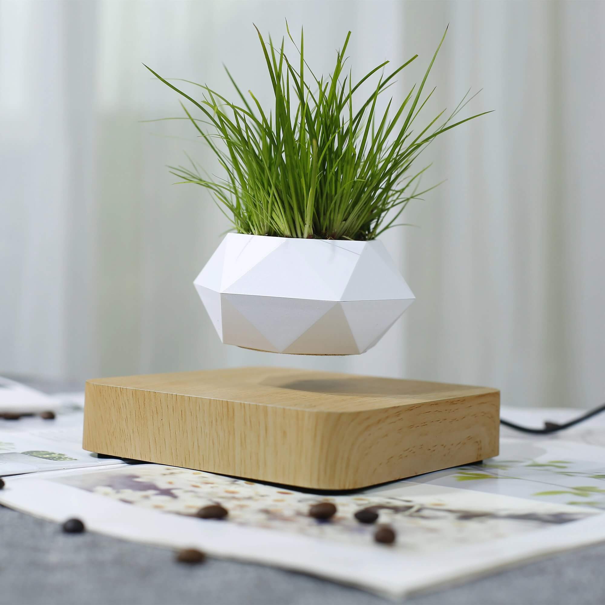 Svevende potte med bonsai-tre i et moderne interiør, stilrent og iøynefallende design