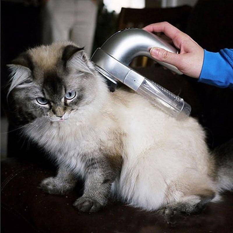 Dyrevennlig pelsstell med massasjefunksjon. Støvsuger for kattehår og hundehår.