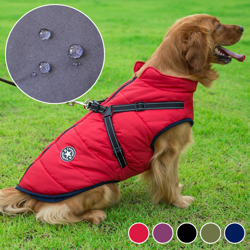 Vanntett hundejakke med refleksbelte, flere farger, varm og stilig design for sikkerhet og komfort utendørs.